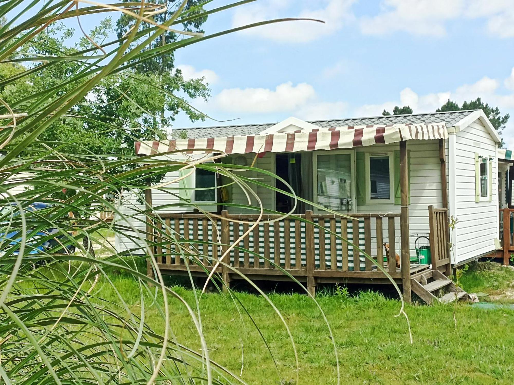Tinyhouse Tilda - Near Famous Beaches Pataias Zewnętrze zdjęcie
