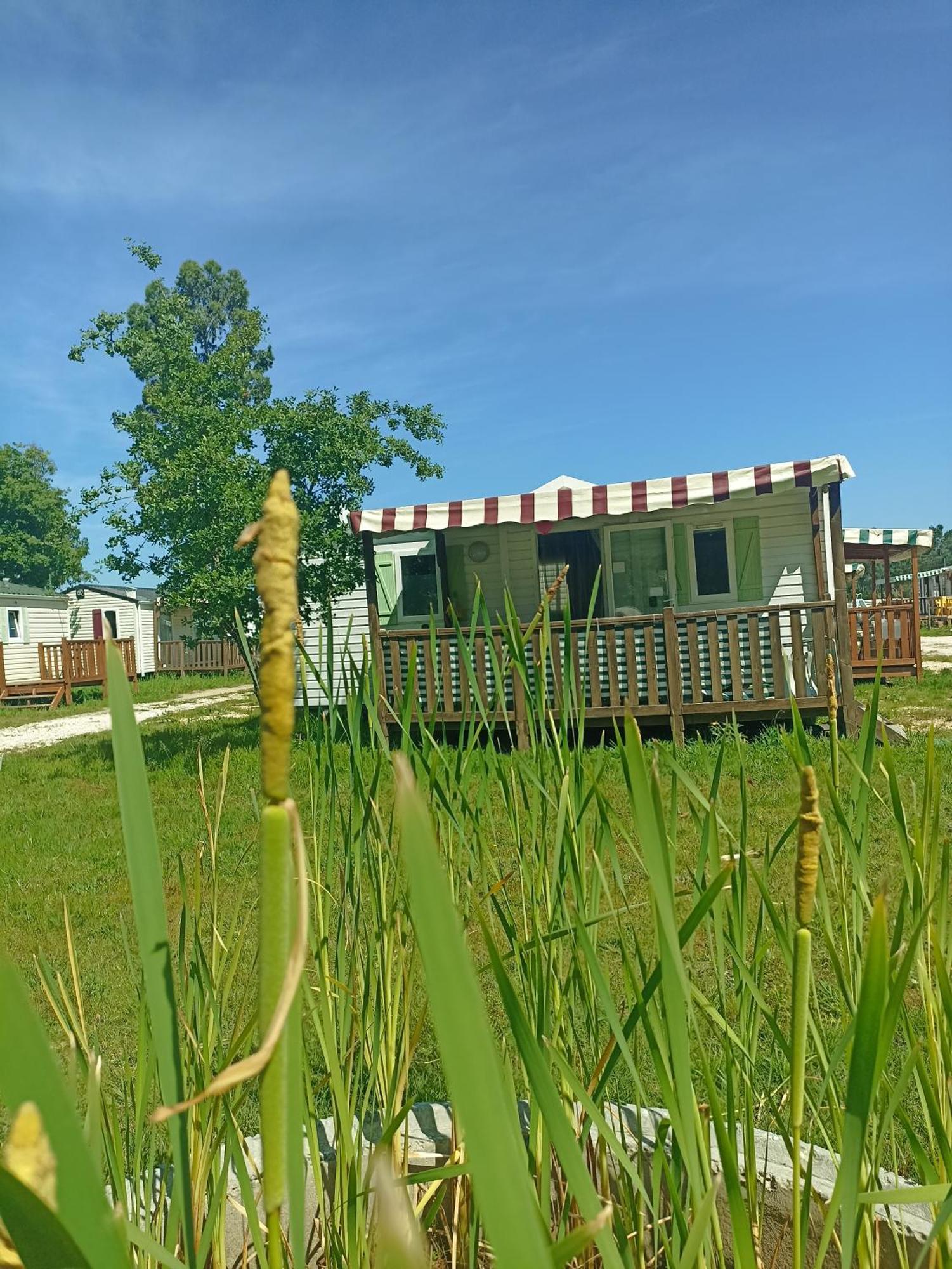 Tinyhouse Tilda - Near Famous Beaches Pataias Zewnętrze zdjęcie